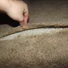 Mohawk Industries - Defective Carpet - Photo 1 - update #1269856