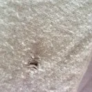Zulily - its been over a month and I still haven't received my order - Photo 2 - comment #1988730