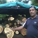 Orisi Vukinavanua Logging - The worst business partner - Photo 3 - comment #1362762
