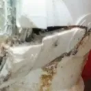 David Weekley Homes - houses are total disaster! - Photo 1 - comment #1705680