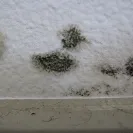 Greystar Real Estate Partners - unethical practices - Photo 5 - comment #1291898