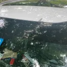 KIA Motors - Bad paint - Photo 1 - comment #2391026