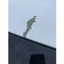 KIA Motors - Bad paint - Photo 1 - comment #2451554