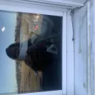 Andersen Windows & Doors - Rotting wood in the windows - Photo 1 - comment #2533222