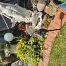 GoGroopie - didn't receive item - Photo 7 - comment #2403981