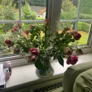 Prestige Flowers - refund only part - Photo 1 - comment #2098201