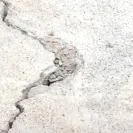David Weekley Homes - breach of contract, theft, poor workmanship - Photo 1 - update #1366952
