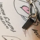 Steve Madden - Money order refund - Photo 1 - comment #2090440