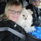Northern Lights Dog Rescue - Ignorant staff - Photo 1 - comment #2009470