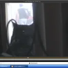 Walmart - poisoning relatives for life insurance money's - Photo 1 - update #1358302