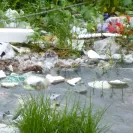Jayeeta Biswas - Pathetic road & drainage condition of Madurdaha, Kolkata - Photo 1 - update #1369470