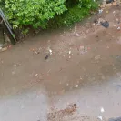 Jayeeta Biswas - Pathetic road & drainage condition of Madurdaha, Kolkata - Photo 2 - update #1369470