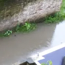 Jayeeta Biswas - Pathetic road & drainage condition of Madurdaha, Kolkata - Photo 4 - update #1369470