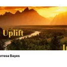 Teresa Bayes - Non payment - Photo 1 - comment #2364893
