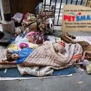 PetSmart - not satisfied with their services! - Photo 1 - comment #1940195