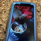 PetSmart - not satisfied with their services! - Photo 1 - comment #2237712
