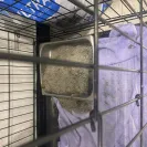 PetSmart - not satisfied with their services! - Photo 1 - comment #2419780