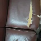 Damro - Request to repair the torn leather - Photo 3 - comment #1878624