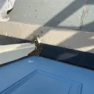 Therma Tru - Rotten door - Photo 3 - comment #2241117