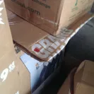 Moving Staffers - Moving Staffers is irrsponsible, inexperience and unprofessional - Photo 4 - comment #1507443