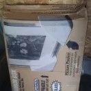 Moving Staffers - Moving Staffers is irrsponsible, inexperience and unprofessional - Photo 5 - comment #1507443