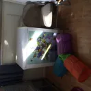 san toi cattery - selling sick kittens from sick parents - Photo 4 - comment #1974903