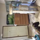 san toi cattery - selling sick kittens from sick parents - Photo 8 - comment #1974903