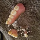 Western Dental Services - terrible everything - Photo 1 - comment #1958081