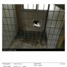 Briarbrook Kennel - Responding to complaints - Photo 1 - comment #1538365