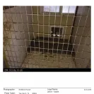 Briarbrook Kennel - Responding to complaints - Photo 2 - comment #1538365