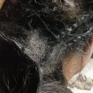 Gupta Hair enterprise - Indian hair scammers - Photo 2 - comment #1678472