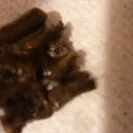 Kroger - terrible experience - Photo 2 - comment #1674991