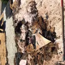 State Farm - new roof - Photo 3 - comment #1803773