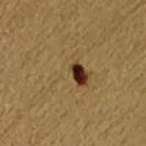 Super 8 - The man scares me! - Photo 3 - comment #1954607