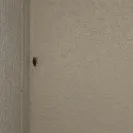 Super 8 - The man scares me! - Photo 2 - comment #1964425
