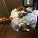 nellysbulldogs.com - Puppy was sick and weak - Photo 1 - comment #1640538