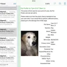 TBC Goldens - Awful to deal with - Photo 1 - comment #1677522