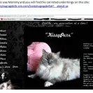 Loveybug Ragdolls - Unethical Breeding - Photo 1 - update #1665950