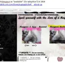 Loveybug Ragdolls - Unethical Breeding - Photo 1 - update #1665951