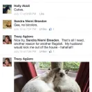 Loveybug Ragdolls - Unethical Breeding - Photo 14 - comment #1667962