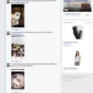 Loveybug Ragdolls - Unethical Breeding - Photo 11 - comment #1670089