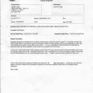 Adoraelves Cattery - Was sold a sick kitten infected with the herpes virus. - Photo 1 - comment #1685529