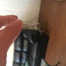 Taco Bell - rude service - Photo 3 - comment #1959830