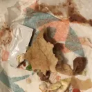 Taco Bell - rude service - Photo 1 - comment #1964474