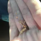 Taco Bell - rude service - Photo 3 - comment #1965094