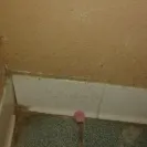 Choice Hotels - Dirty room and poor service - Photo 6 - comment #1686064