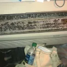 Choice Hotels - Dirty room and poor service - Photo 10 - comment #1686064