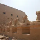 FlyDubai - flydubai in alexandria egypt - Photo 1 - update #1702015