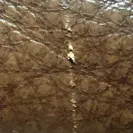 Hudson's Furniture Showroom - Bad quality furniture - Photo 1 - comment #2205148