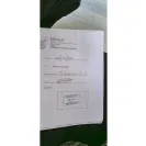 Department Of Labour Of South Africa - Non Payment of UIF - Photo 3 - comment #2260082